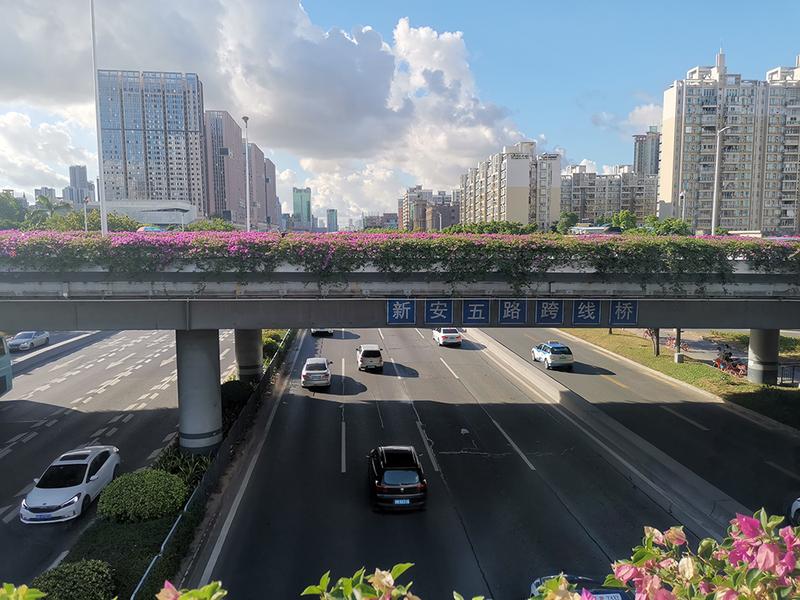 在现场 | “限外令”恢复首日 深网记者多点实探深圳早高峰交通情况