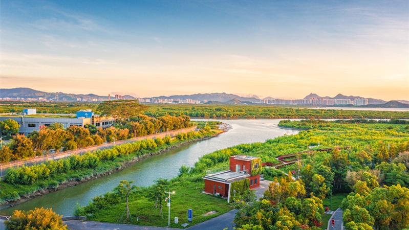 深圳“好野”背后的发展逻辑