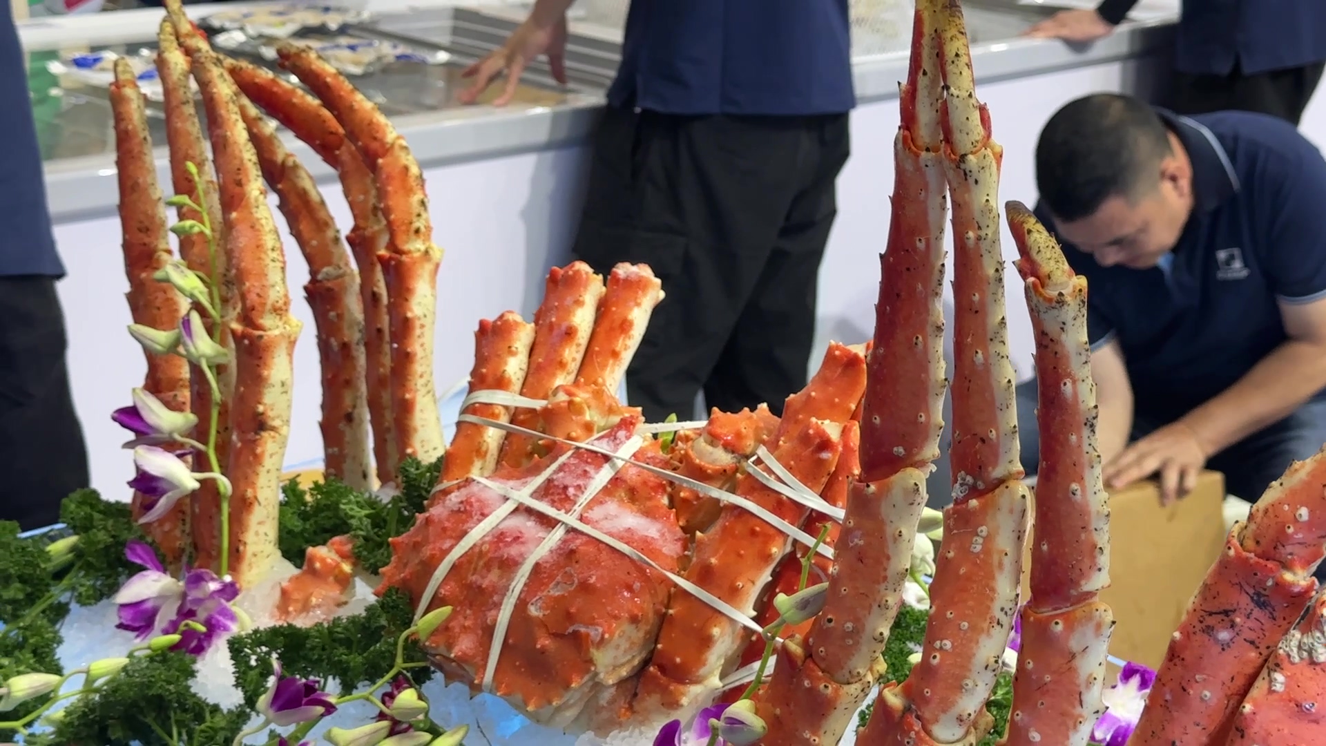 渔博会 (5).jpg 渔博会 (5).jpg