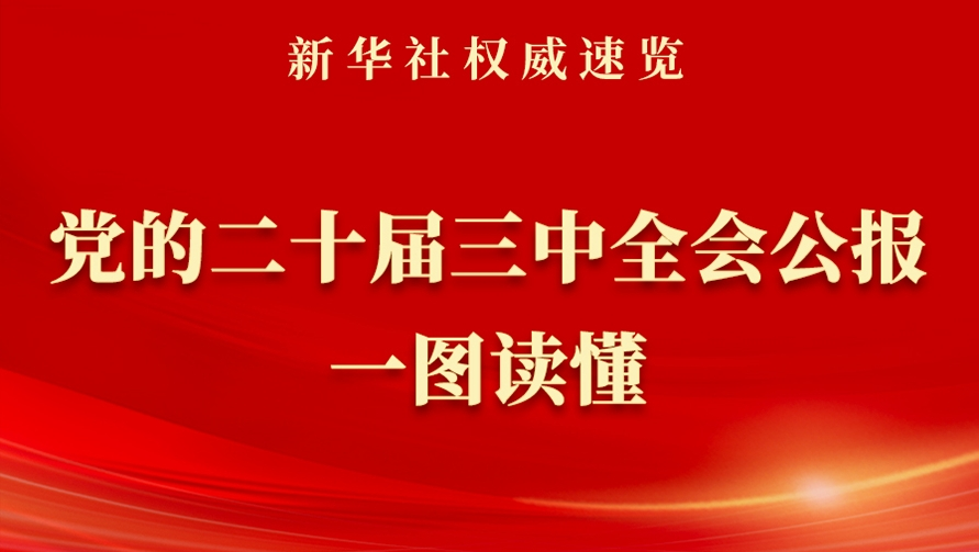 党的二十届三中全会公报一图读懂