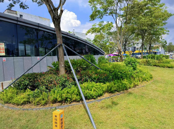 宝龙街道以同乐地铁站为试点提升绿化覆盖率