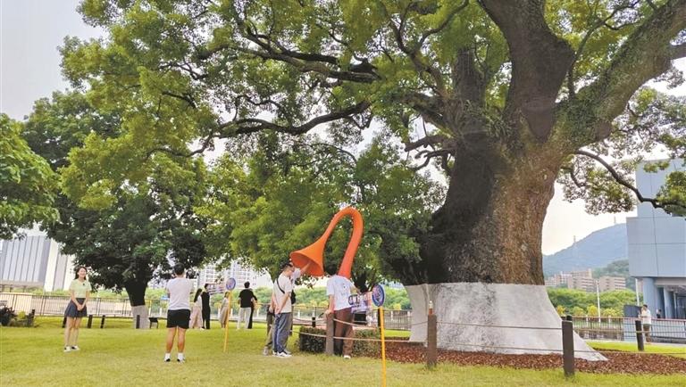 让古树名木成为深圳生态文明新名片