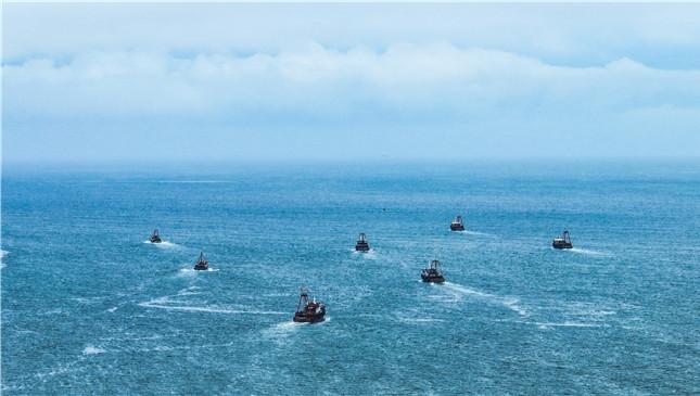 IN视频 | 大鹏开渔啦！快来体验海鲜自由