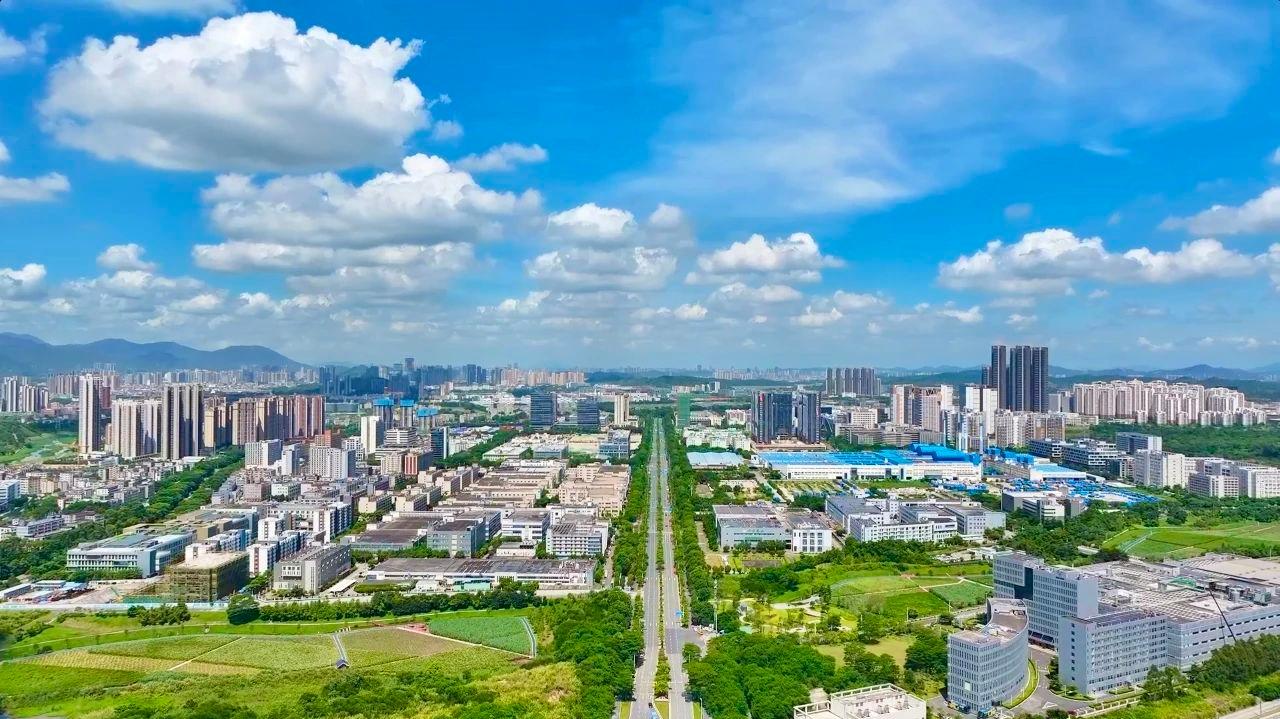 先行示范“坪”实力|营商环境一流！创新坪山“引凤栖”