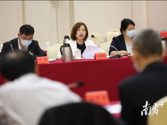 助力建设现代产业体系，党代表来了场“头脑风暴”