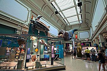 罗湖“双周发布”科普专场揭开科教基地神秘面纱