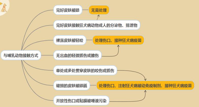 宠TA科普丨养宠可致人死亡、致胎儿畸形？医生带你了解这两种疾病