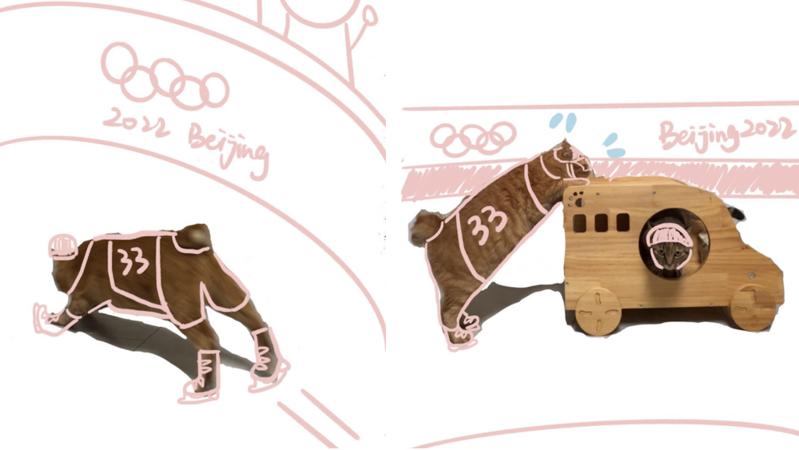 宠TA丨 “喵星人”也来致敬冬奥运动员